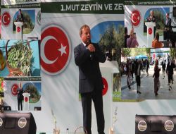 Mut Zeytin ve Zeytinya festivali cokulu balad